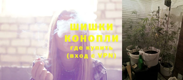 СК Бородино