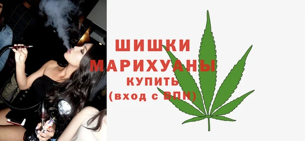 СК Бородино